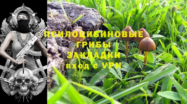 хмурый Бронницы