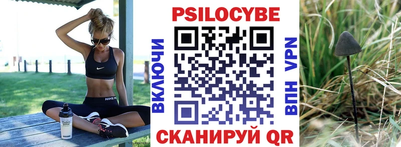 Галлюциногенные грибы Cubensis  где найти наркотики  Данилов 